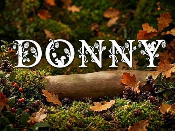 Donny: The Display Font for Bold Visuals